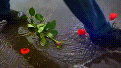 玫瑰花伤感素材
