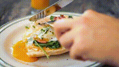 美食素材563