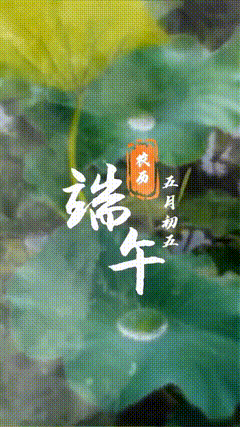 节日素材特效素材特效短视频素材
