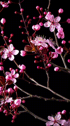 花大自然