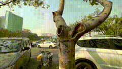 街道视频素材