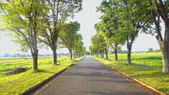 马路素材