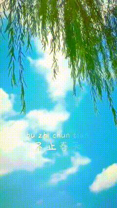 黑幕模板