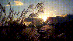 一个人愁闷的时候，都爱看西下的夕阳0048