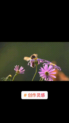 一花一草一世界自然奇观