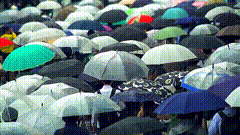 下怎样的雨？你最喜欢！