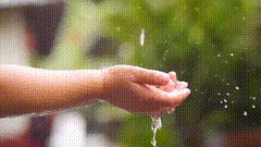 下雨天唯美素材特效素材特效短视频素材1604