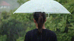 下雨天唯美背影视频素材