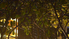 下雨的夜晚唯美视频素材