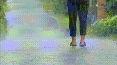 下雨视频素材下雨天
