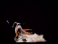 唯美素材01252