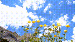唯美素材279