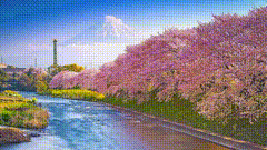 唯美素材394