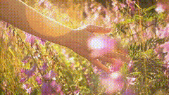 唯美素材418