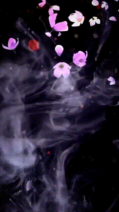 唯美素材94815