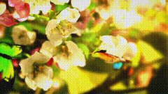 唯美素材特效781