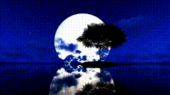 唯美视频素材700