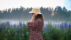 唯美视频素材在