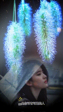 唯美视频素材映模板