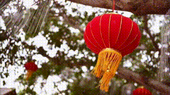 唯美视频素材灯笼