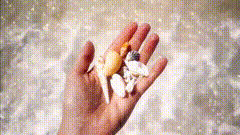 在海边大自然在我手中海滩拾趣