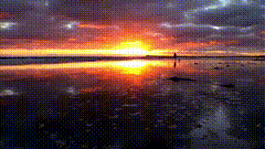夕阳唯美视频素材日落