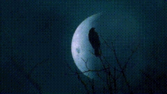 夜月亮乌鸦