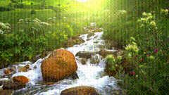 小溪流水唯美视频素材