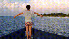 拥抱大海