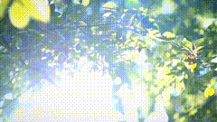 早上阳光唯美素材特效