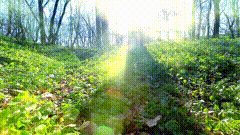 早晨阳光唯美素材早晨音乐