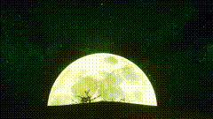 月亮唯美视频素材星空夜晚梦幻星空意境