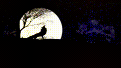 月圆之夜狼叫声音视频素材