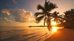 椰子树落日余晖映晚霞一抹夕阳美如画夕阳