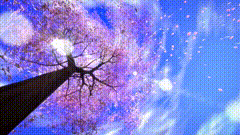樱花树唯美视频素材梦幻
