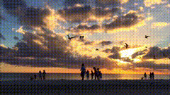 用摄影看世界海边日落晚霞素材库浪漫夕阳