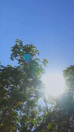 阳光素材（原视频32秒）