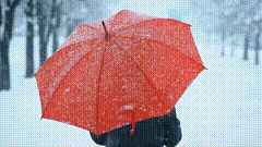 雨伞雪景唯美素材短视频素材特效