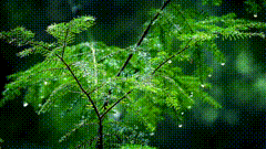 雨天唯美素材392