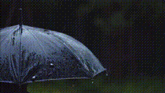 雨落下的声音