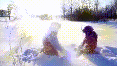 雪景唯美素材0283