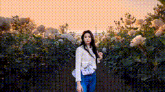 人物唯美视频素材甜美女孩摄影外景花海自然美景