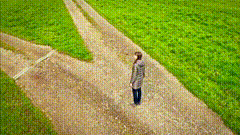 人生分叉路主题唯美视频素材