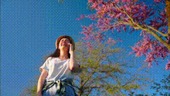 创摄影唯美意境特写镜头