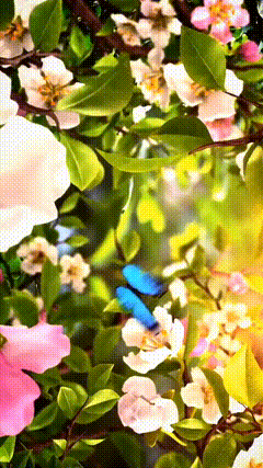 动态壁纸素材