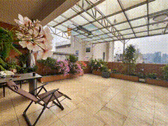 台养花露天阳台花园实景