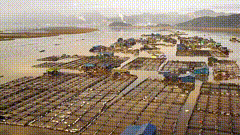 大家唯美素材952