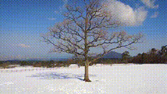 大山上唯美雪景素材