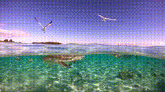 大海唯美视频素材风景