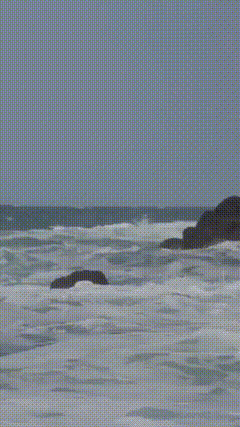大海素材素材特效短视频素材